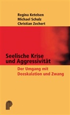 Regina Ketelsen, Michael Schulz, Christian Zechert, Christian Zechert - Seelische Krise und Aggressivität