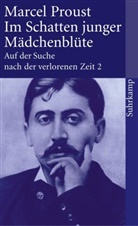 Marcel Proust - Auf der Suche nach der verlorenen Zeit. Frankfurter Ausgabe. Bd.2
