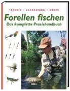 Forellen fischen