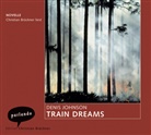 Denis Johnson, Dennis Johnson, Christian Brückner - Train Dreams, 2 Audio-CDs (Audio book)