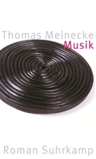 Thomas Meinecke - Musik