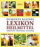 Anne Iburg, Roland Spohn - DuMonts kleines Lexikon Heilmittel