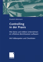 Elisabeth Mehrmann - Controlling in der Praxis