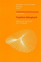 Peter Gschwind, Mat -Astron Sektion am Goetheanum, Math -Astron Sektion am Goetheanum, Mathematisch-Astronomische Sektion Goetheanum - Projektive Mikrophysik