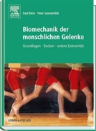 Paul Klein, Peter Sommerfeld - Biomechanik der menschlichen Gelenke