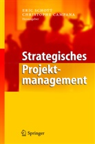 Campana, Campana, Christophe Campana, Eri Schott, Eric Schott - Strategisches Projektmanagement