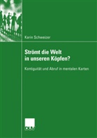 Karin Schweizer - Strömt die Welt in unseren Köpfen?