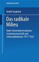 Detlef Siegfried - Das radikale Milieu