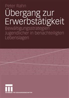 Peter Rahn - Übergang zur Erwerbstätigkeit