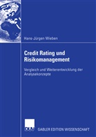 Hans-Jürgen Wieben - Credit Rating und Risikomanagement