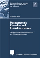 Joachim Sandt - Management mit Kennzahlen und Kennzahlensystemen