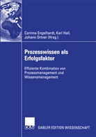 Corinna Engelhardt, Karl Hall, Corinna Engelhardt, Kar Hall, Karl Hall, Johann Ortner - Prozesswissen als Erfolgsfaktor