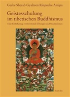 Geshe S Amipa, Geshe Sherab Gyaltsen Amipa, Geshe Sherab Gyaltsen Rinpoche Amipa, Sherab Gyaltsen Amipa - Geistesschulung im tibetischen Buddhismus