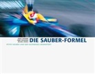 Jimmy Froidevaux, Daniel Reinhard, Michael Stäuble, FROIDEVAUX, Reinhard - Die Sauber-Formel