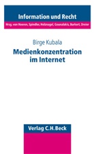 Birge Kubala - Medienkonzentration im Internet