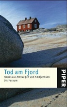 Holger Wolandt - Tod am Fjord