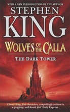 Stephen King - The Dark Tower - Bd. 5: The Dark Tower 5. The Wolves of Calla