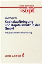 Wulf Goette - Kapitalaufbringung und Kapitalschutz in der GmbH