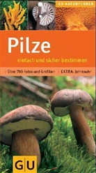 Pilze einfach und sicher bestimmen