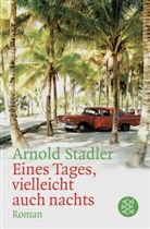 Arnold Stadler, Arnold (Dr.) Stadler - Eines Tages, vielleicht auch nachts