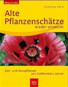 Siegfried Stein - Alte Pflanzenschätze wieder entdeckt