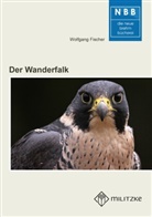 Wolfgang Fischer - Der Wanderfalk