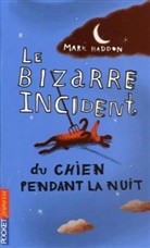 Mark Haddon - Le bizarre incident du chien pendant la nuit