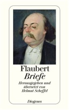 Gustave Flaubert, Helmu Scheffel, Helmut Scheffel - Briefe