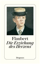 Gustave Flaubert - Die Erziehung des Herzens