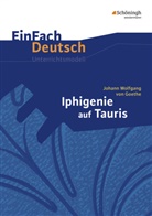 Michael Fuchs, Johann Wolfgang von Goethe, Johannes Diekhans - EinFach Deutsch Unterrichtsmodelle