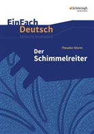 Widar Lehnemann, Theodor Storm, Johanne Diekhans, Johannes Diekhans - EinFach Deutsch Unterrichtsmodelle