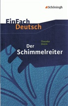 Widar Lehnemann, Theodor Storm, Johannes Diekhans - EinFach Deutsch Textausgaben