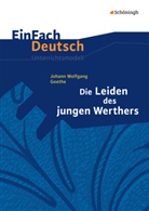 Hendrik Madsen, Hendri Madsen, Hendrik Madsen, Rainer Madsen, Rainer Madsen, Johann Wolfgang von Goethe... - EinFach Deutsch Unterrichtsmodelle