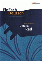 Hermann Hesse, Stefan Rogal, Johannes Diekhans - EinFach Deutsch Unterrichtsmodelle