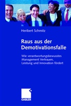 Heribert Schmitz - Raus aus der Demotivationsfalle