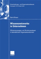 Gerrit Braun - Wissensnetzwerke in Unternehmen