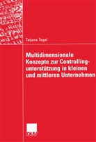Tatjana Tegel - Multidimensionale Konzepte zur Controllingunterstützung in kleinen und mittleren Unternehmen