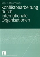 Klaus Brummer - Konfliktbearbeitung durch internationale Organisationen