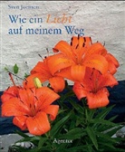 Sven Joensen - Wie ein Licht auf meinem Weg