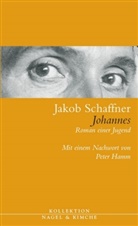 Jakob Schaffner, Peter von Matt - Johannes