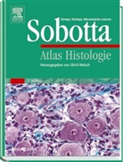 Johannes Sobotta, Ulric Welsch, Ulrich Welsch - Atlas Histologie