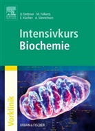 Ulf Dettmer, Malte Folkerts, Eva Kächler - Intensivkurs Biochemie