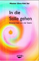 Choa Kok Sui, Choa Kok Sui - In die Stille gehen