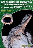 Mirko Barts - Der Gebänderte Samtgecko & Wahlbergs Gecko