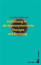 Gunther Schmidt - Einführung in die hypnosystemische Therapie und Beratung