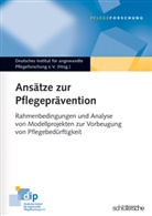 Deutsches Institut f. angewandte Pflegeforschung e.V., Deutsche Institut f  angewandte Pflegefor, Deutsches Institut f  angewandte Pflegefor - Ansätze zur Pflegeprävention