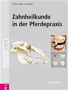 Gordon J Baker, Gordon J. Baker, Jack Easley, Gordon J. Baker, Jac Easley, Jack Easley - Zahnheilkunde in der Pferdepraxis