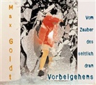 Max Goldt - Vom Zauber des seitlich dran Vorbeigehens, 2 Audio-CDs (Hörbuch)