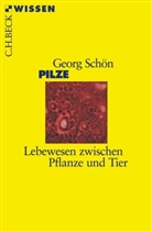 Georg Schön - Pilze