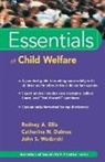 Catherine N Dulmus, Catherine N. Dulmus, Ra Ellis, Rodney A Ellis, Rodney A. Ellis, Rodney A. (University of Tennessee) Dulmus Ellis... - Essentials of Child Welfare